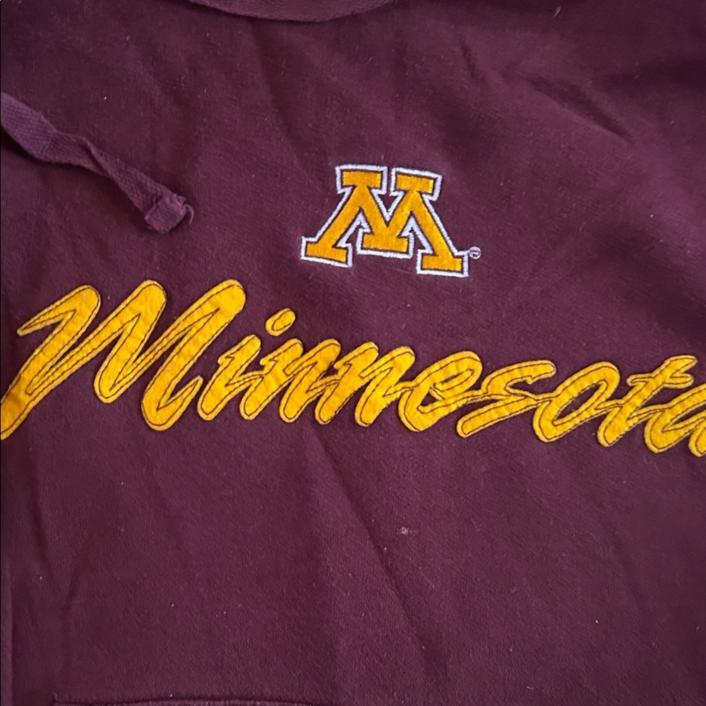 EUC Maroon University Hoodie - Picture 3 of 5